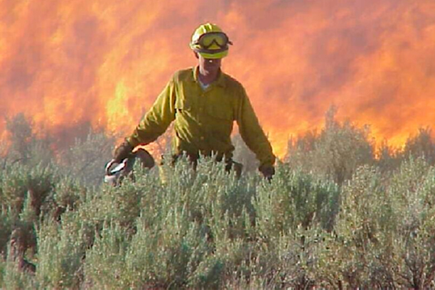 Cursos De Extinción De Incendios Forestales Forex Incendios Forestales 6812